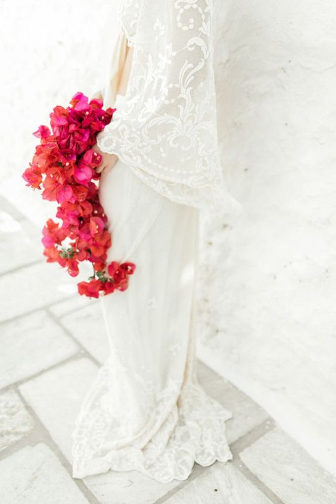 CLEAN BOUGAINVILLEA by AGATE - 001 CLEAN BOUGAINVILLEA by AGATE - 001