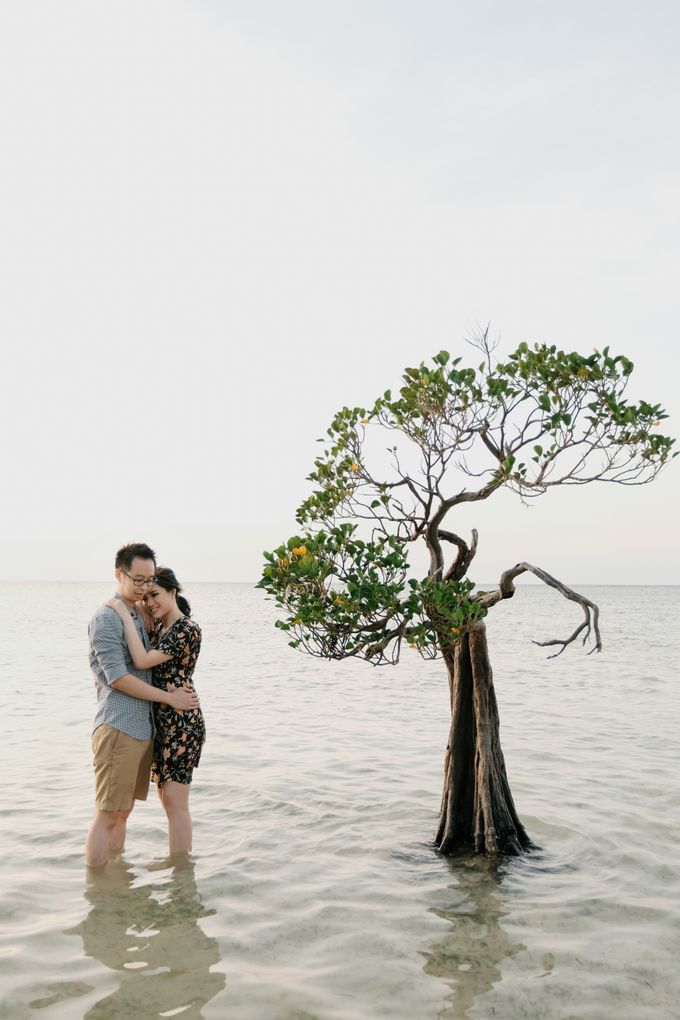 Sumba Prewedding of Andy & Meme by Royal Photograph - 006 Sumba Prewedding of Andy & Meme by Royal Photograph - 006