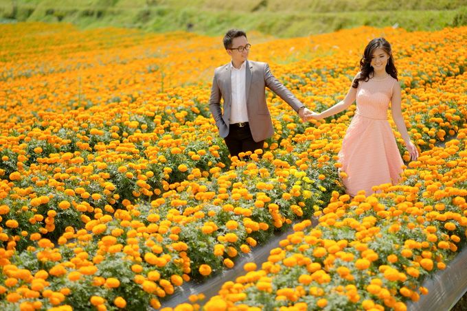 Prewedding of Nicho & Novi by Royal Photograph - 008 Prewedding of Nicho & Novi by Royal Photograph - 008