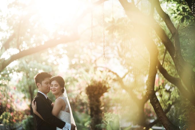 Ivy and Franz by The Daydreamer Studios - 037 Ivy and Franz by The Daydreamer Studios - 037