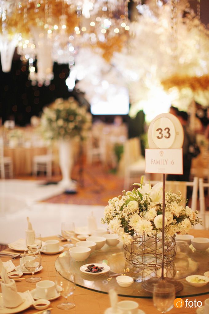 Royal Garden by STEVE'S DECOR - 006 Royal Garden by STEVE'S DECOR - 006