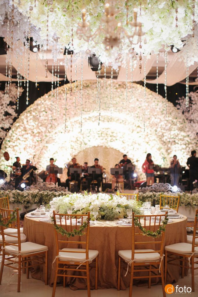 Royal Garden by STEVE'S DECOR - 008 Royal Garden by STEVE'S DECOR - 008