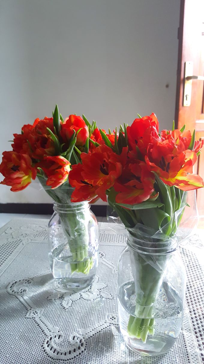 Tulip Fair by biancoflowerjkt - 017 Tulip Fair by biancoflowerjkt - 017