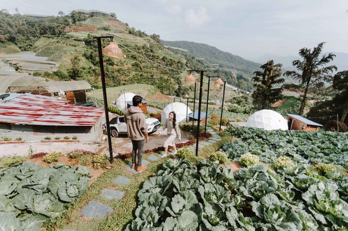 Pre Wedding Cameron Highlands by JOHN HO PHOTOGRAPHY - 013