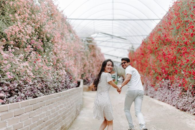 Pre Wedding Cameron Highlands by JOHN HO PHOTOGRAPHY - 007