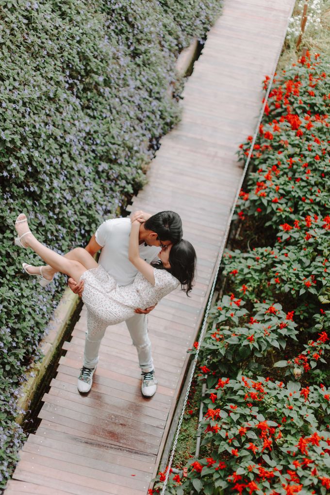 Pre Wedding Cameron Highlands by JOHN HO PHOTOGRAPHY - 040