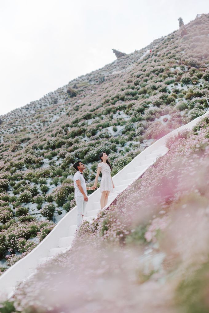 Pre Wedding Cameron Highlands by JOHN HO PHOTOGRAPHY - 043