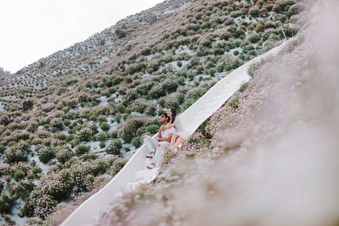 Pre Wedding Cameron Highlands by JOHN HO PHOTOGRAPHY - 009