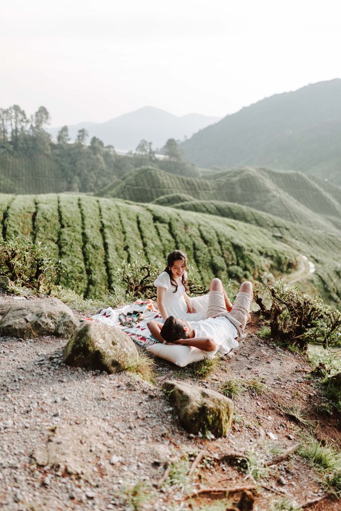 Pre Wedding Cameron Highlands by JOHN HO PHOTOGRAPHY - 016