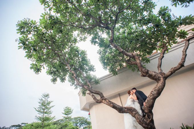 wedding portfolio by thehappynessproject.ph - 020 wedding portfolio by thehappynessproject.ph - 020
