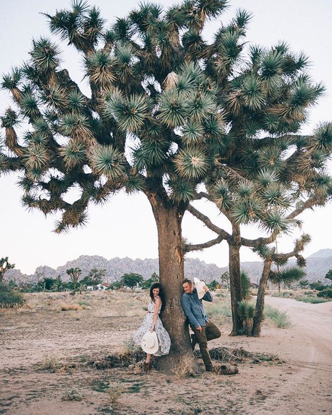 Pioneertown Engagement The Desert is Full of Wildflowers and Lovebirds by Pretty Branch Wedding Photo & Video - 004 Pioneertown Engagement The Desert is Full of Wildflowers and Lovebirds by Pretty Branch Wedding Photo & Video - 004