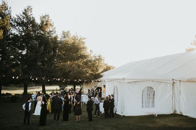 Napa Valley - Christna & Joe Wedding by ILUMINEN - 011 Napa Valley - Christna & Joe Wedding by ILUMINEN - 011