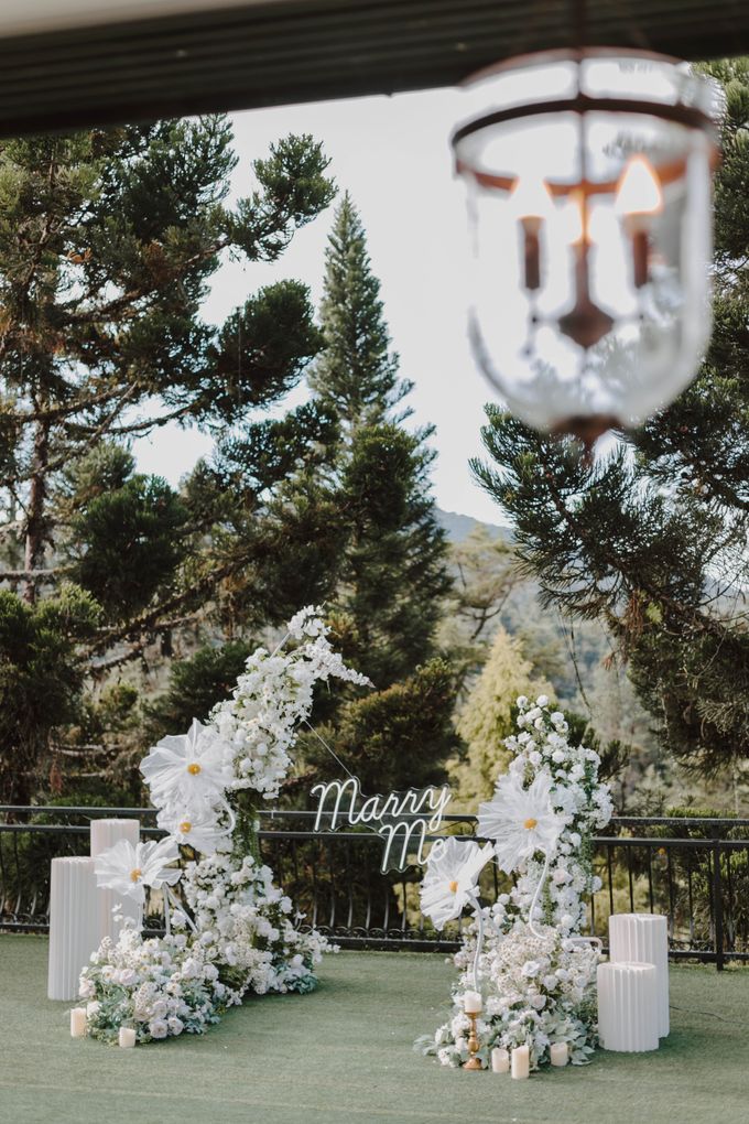 Cameron Highland Resort |Marriage Proposal | Andy & Su Wern by JOHN HO PHOTOGRAPHY - 010