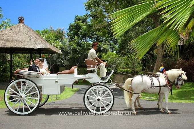 300 rise of baliweddingphoto by D'studio Photography Bali - 277