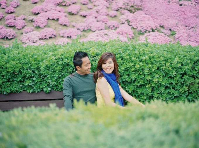 KOREA FILM PHOTOGRAPHY by hery portrait - 009