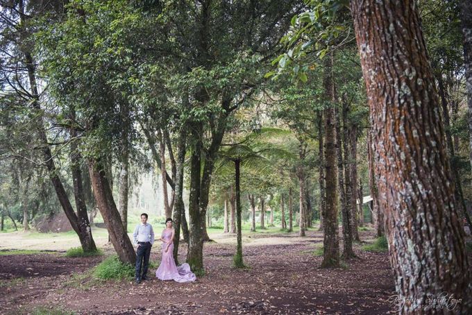 Teaser of Adventure Romance by Gregorius Suhartoyo Photography - 004 Teaser of Adventure Romance by Gregorius Suhartoyo Photography - 004