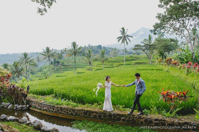 Banyuwangi, I'm in Love by Imperial Photography Jakarta - 027 Banyuwangi, I'm in Love by Imperial Photography Jakarta - 027