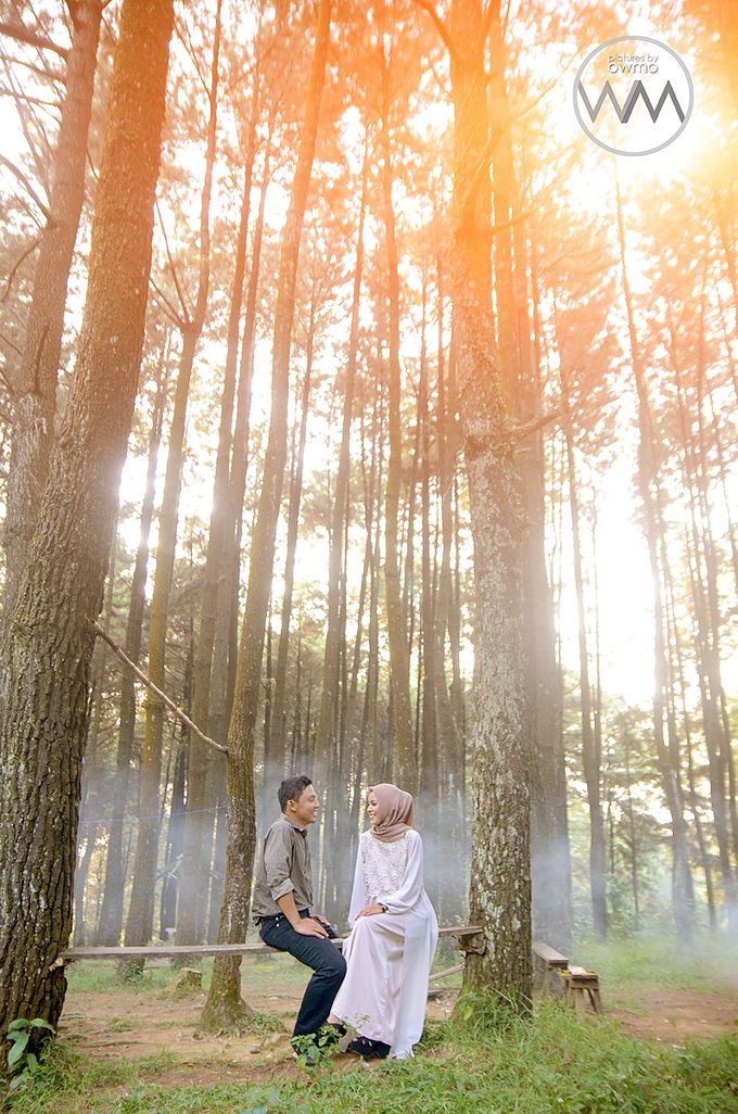 ENGAGEMENT / POSTWEDD / PREWEDD by pictures by OWMO - 043 ENGAGEMENT / POSTWEDD / PREWEDD by pictures by OWMO - 043