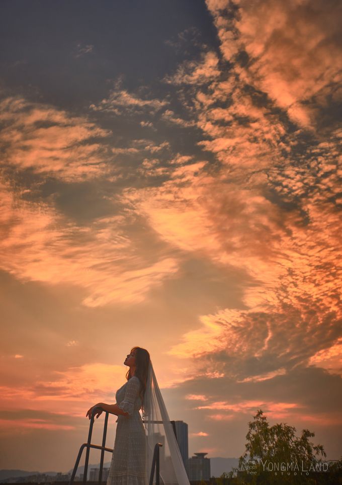 Korea Pre-Wedding Photoshoot - Studio 29 by Willcy Wedding by Willcy Wedding - Korea Pre Wedding - 022 Korea Pre-Wedding Photoshoot - Studio 29 by Willcy Wedding by Willcy Wedding - Korea Pre Wedding - 022