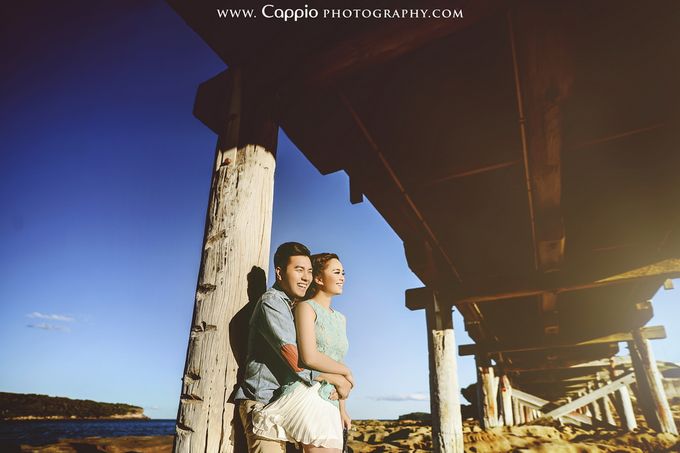 cappio photography video tutorial torrent cappio photography video tutorial torrent