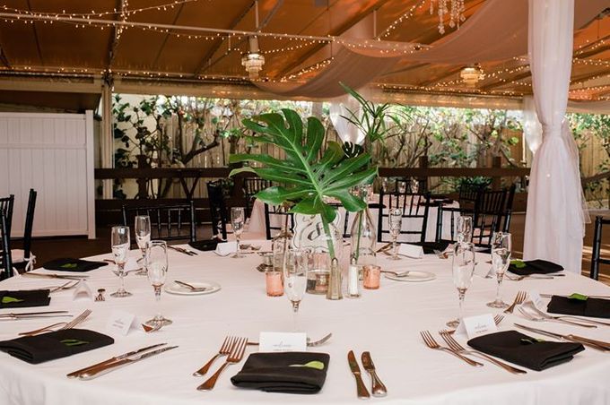 Untitled by Kaydi Devlin Events - 002 Untitled by Kaydi Devlin Events - 002
