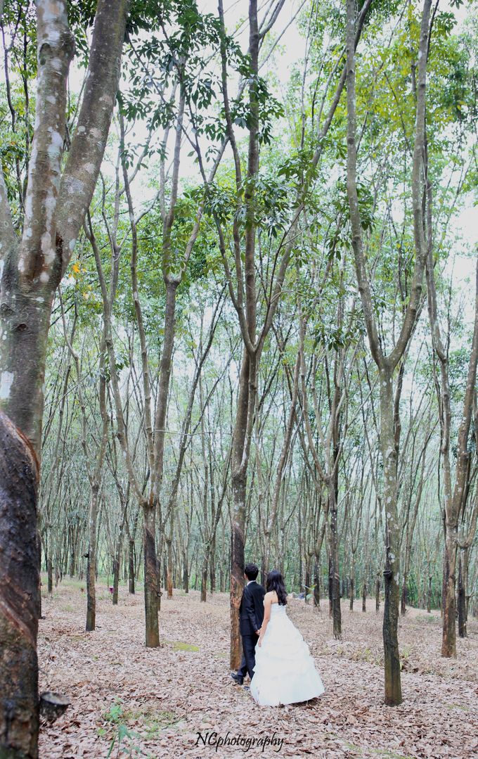 Ary&Melanie Prewedding by NC Photography - 003 Ary&Melanie Prewedding by NC Photography - 003
