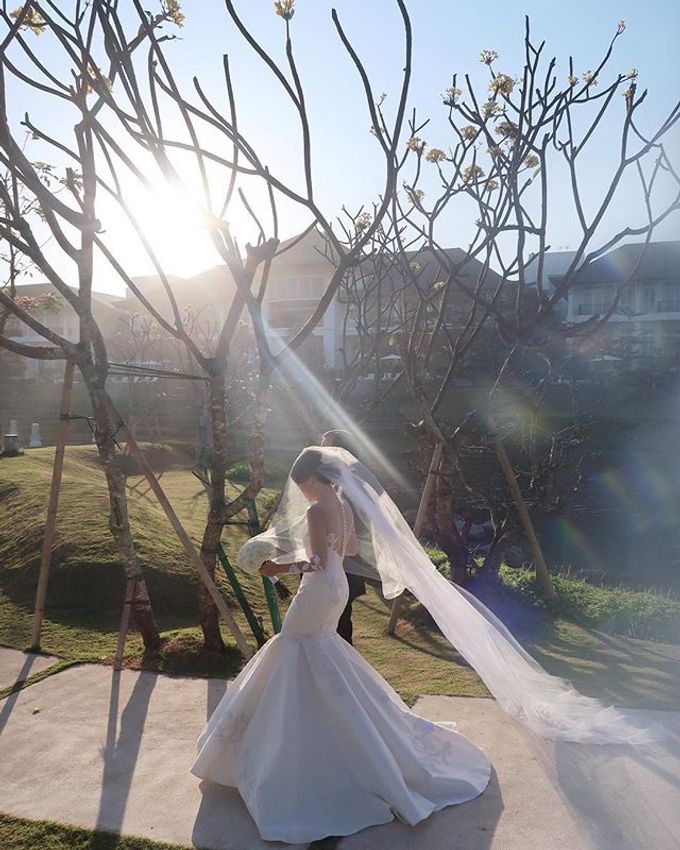 Dersi & Andree Wedding by Terralogical - 001 Dersi & Andree Wedding by Terralogical - 001