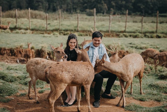 Pre-wedd Benny Ivone by My Story Photography & Video - 006 Pre-wedd Benny Ivone by My Story Photography & Video - 006