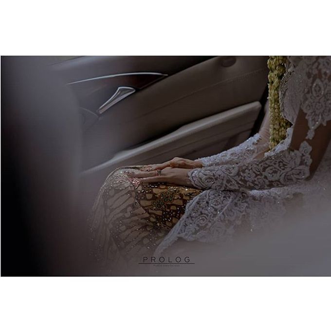Our Clients by Prolog photo and video - 010 Our Clients by Prolog photo and video - 010