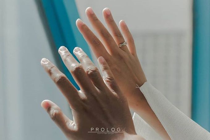 Our Clients by Prolog photo and video - 016 Our Clients by Prolog photo and video - 016