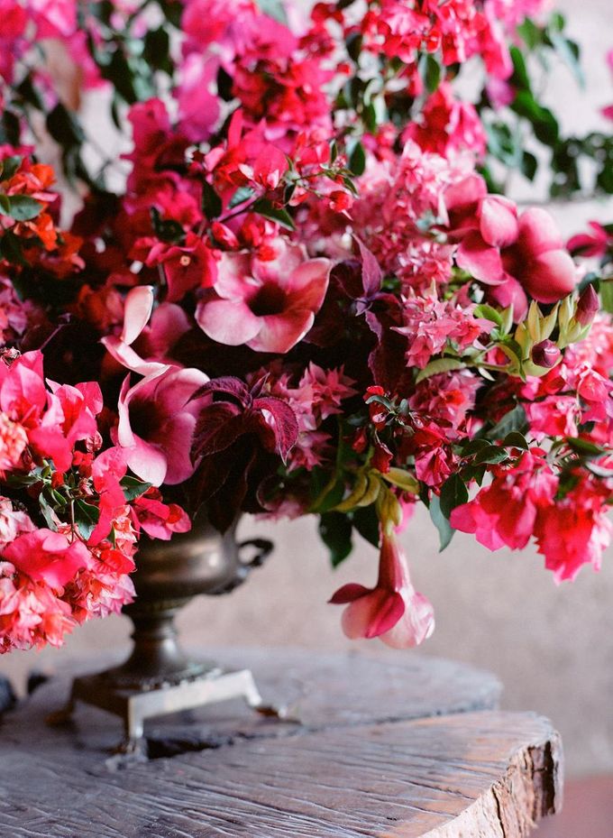CLEAN BOUGAINVILLEA by AGATE - 005 CLEAN BOUGAINVILLEA by AGATE - 005