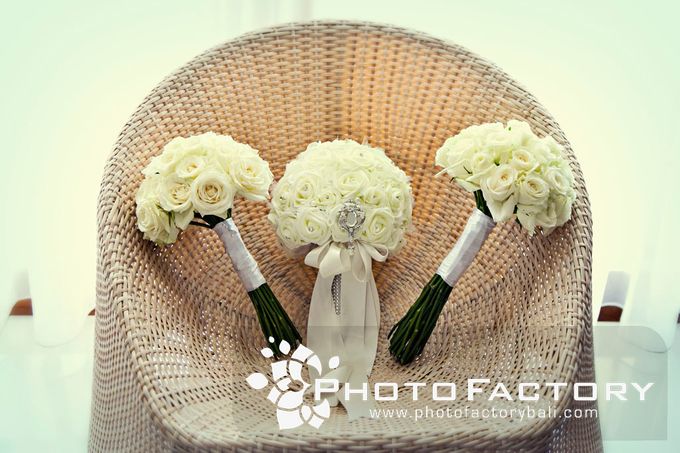 Fiona & Darcy by PhotoFactory - 002 Fiona & Darcy by PhotoFactory - 002