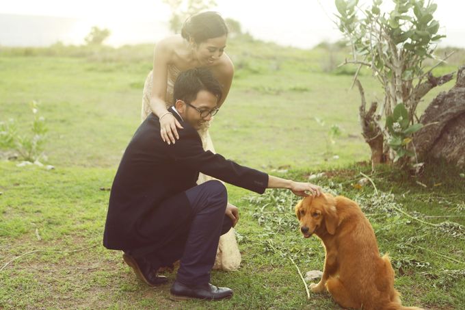 Steffi & Andi by Diera Bachir Photography - 027 Steffi & Andi by Diera Bachir Photography - 027