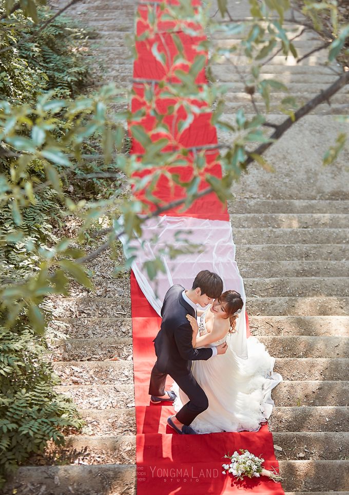 Korea Pre-Wedding Photoshoot - Studio 29 by Willcy Wedding by Willcy Wedding - Korea Pre Wedding - 040 Korea Pre-Wedding Photoshoot - Studio 29 by Willcy Wedding by Willcy Wedding - Korea Pre Wedding - 040