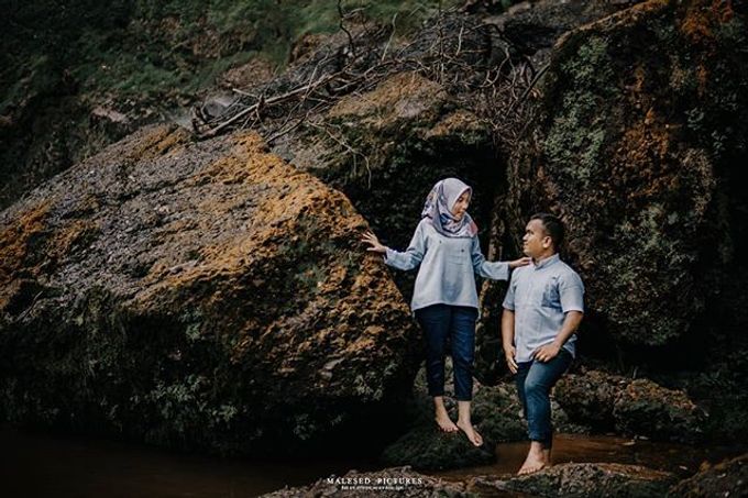 Photography by Malesed. Pictures - 010 Photography by Malesed. Pictures - 010