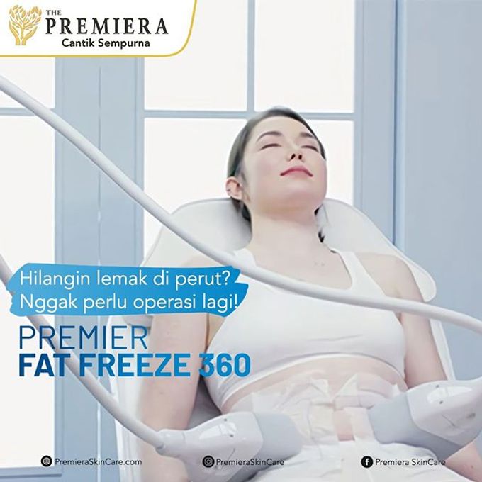 PREMIER Fat Freeze360 by Premiera Skincare - 009 PREMIER Fat Freeze360 by Premiera Skincare - 009