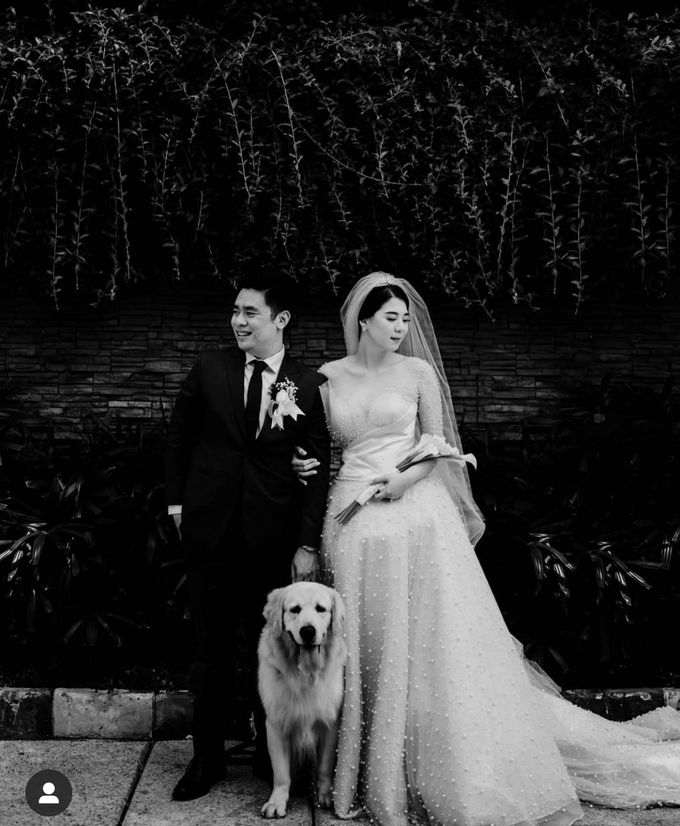 MC Wedding Hallf Patiunus Jakarta - Anthony Stevven by Anthony Stevven - 018 MC Wedding Hallf Patiunus Jakarta - Anthony Stevven by Anthony Stevven - 018