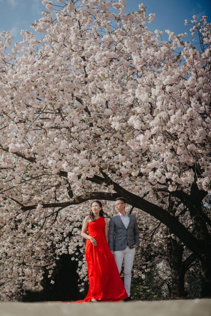 Anton and Stefanie - Japan in Love by Vermount Photoworks - 005 Anton and Stefanie - Japan in Love by Vermount Photoworks - 005