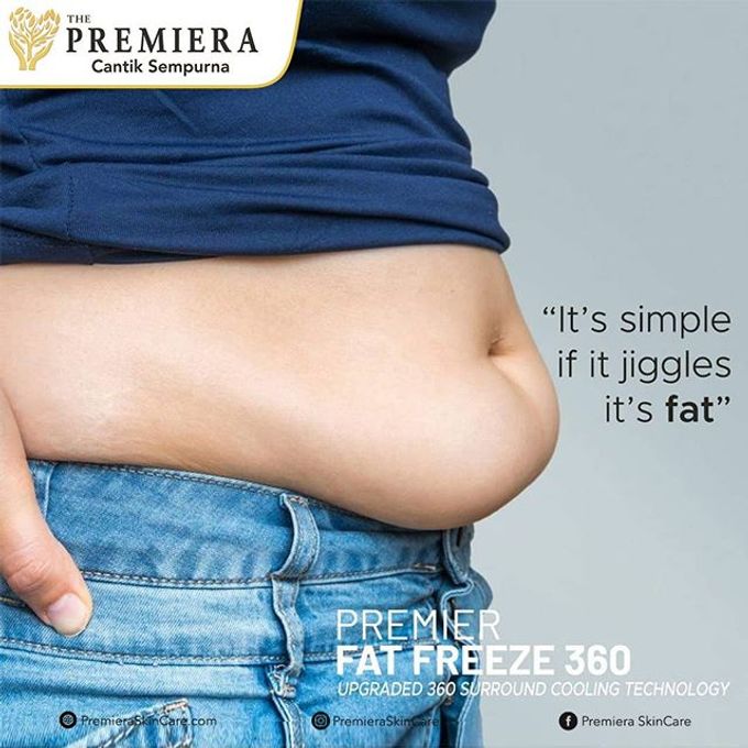 PREMIER Fat Freeze360 by Premiera Skincare - 007 PREMIER Fat Freeze360 by Premiera Skincare - 007