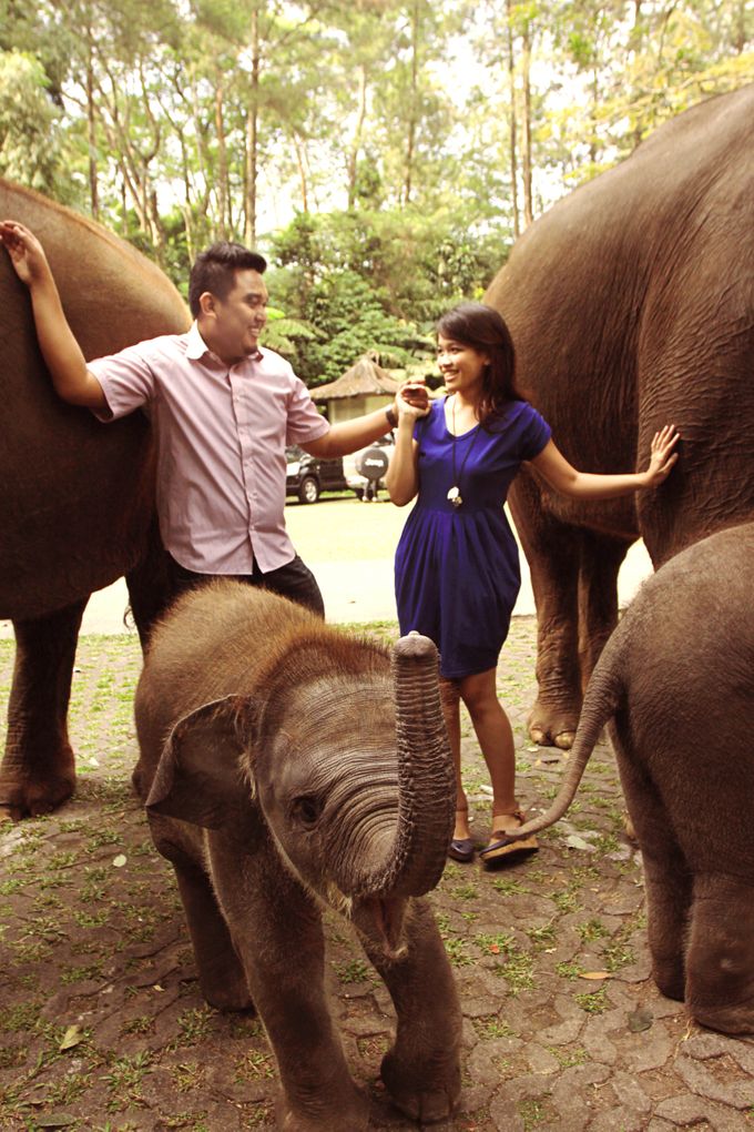 Taufik & Bina Pre Wedding by Bagus Putra Photography - 003