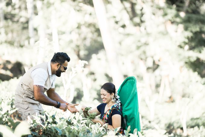 Pubudini & Venura Pre Shoot by Kasun Shanaka Photography - 033