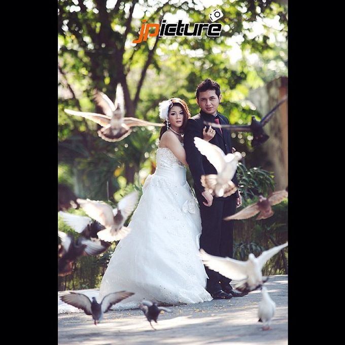 Nature Love by JP Picture - 004 Nature Love by JP Picture - 004