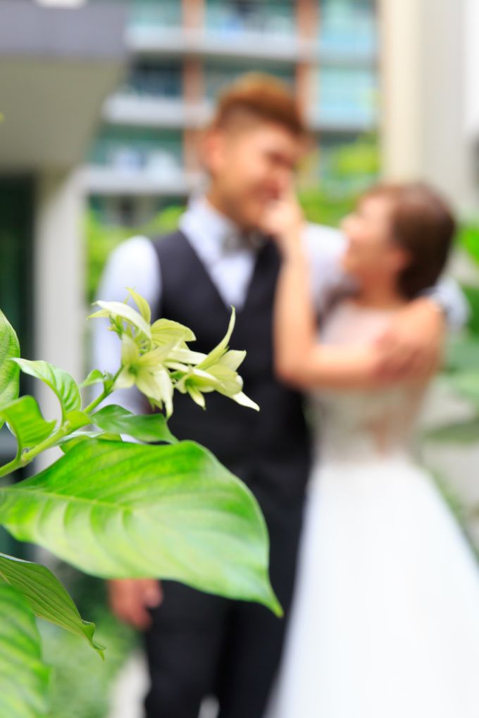 Tina & Jonathan by Wonderful Lights Photography - 006