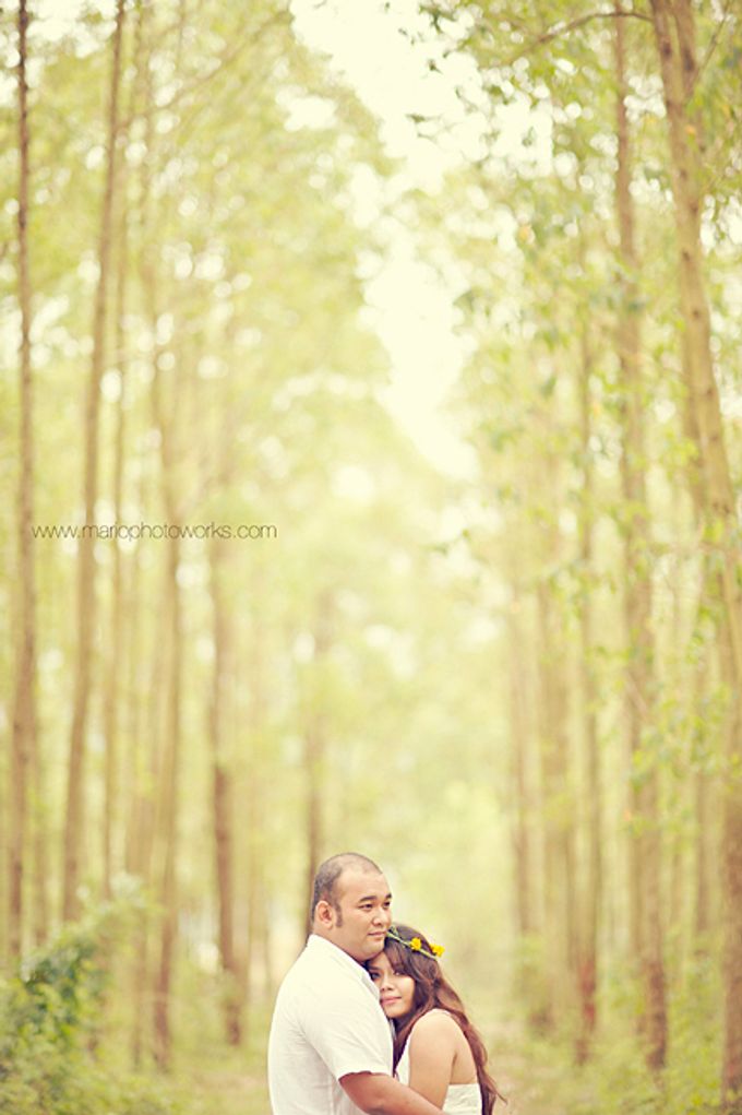 She Found Her Prince Charming | Prewedding of Dimas & Lia by Mario Photoworks - 009