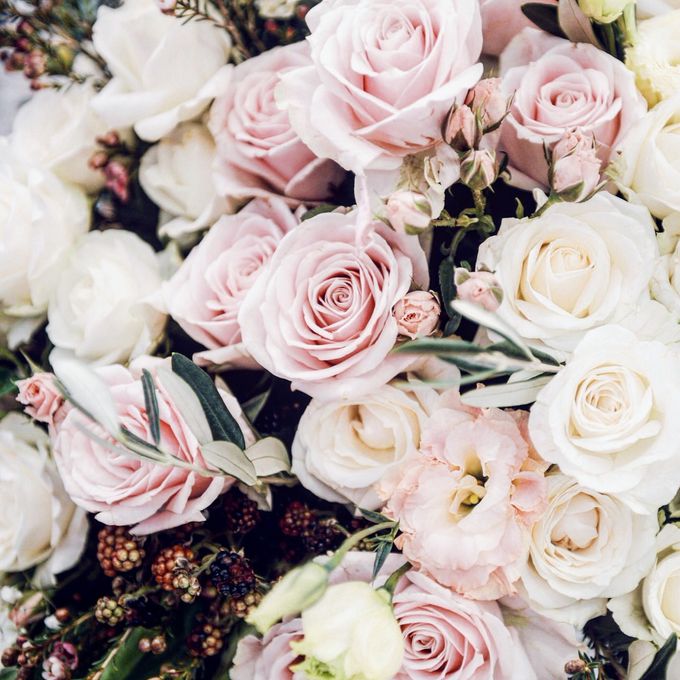 In the mood of Rose Quartz by MyVoilà - 002 In the mood of Rose Quartz by MyVoilà - 002