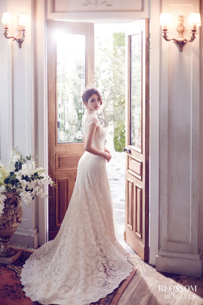 My Dream Wedding - Korea Shoot by My Dream Wedding - 006 My Dream Wedding - Korea Shoot by My Dream Wedding - 006