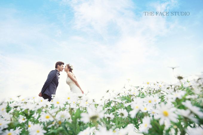 My Dream Wedding - Korea Shoot by My Dream Wedding - 010 My Dream Wedding - Korea Shoot by My Dream Wedding - 010
