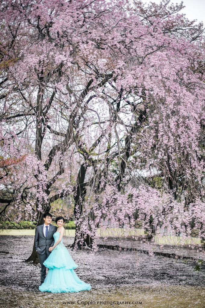 Jonathan & Amelia by Cappio Photography - 031