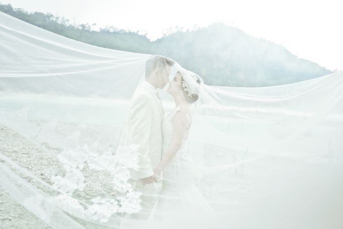 SWEET ESCAPE by YOHANNES BRIDAL - 016