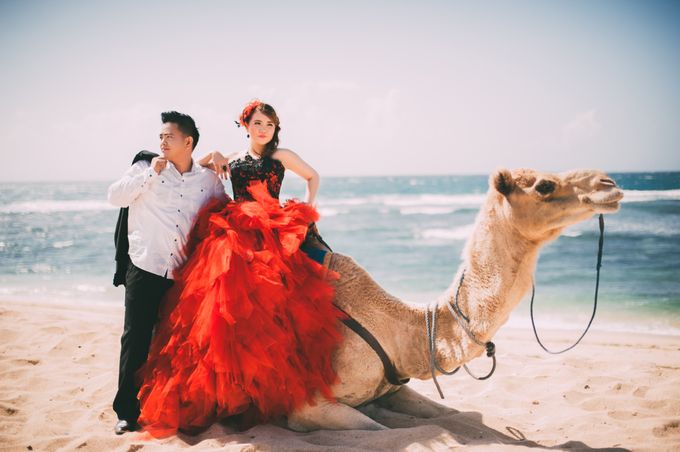 Love in Bali Camel by Mariyasa - 012